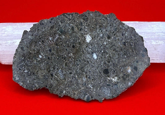 Rare Oued El Hameen 001 Lunar Meteorite Slice – 31.40g Aqueously Altered Moon Rock
