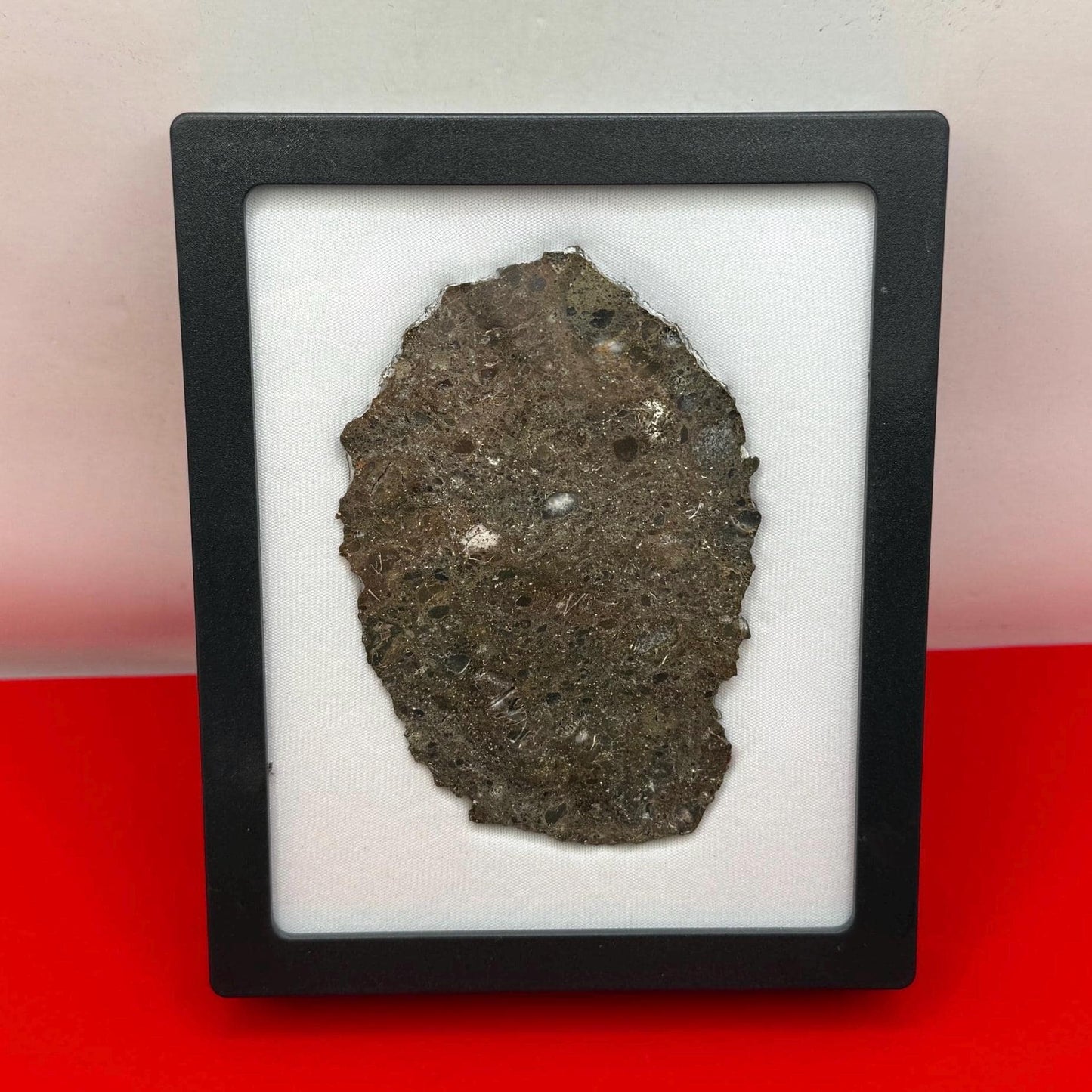 Rare Oued El Hameen 001 Lunar Meteorite Slice – 31.40g Aqueously Altered Moon Rock