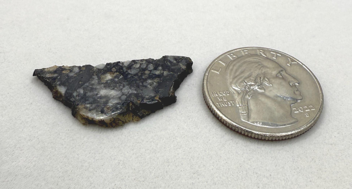 Ajdabiya 001 Lunar Meteorite Slice: Moon Rock Specimen, Space Gift, 1.86 grams