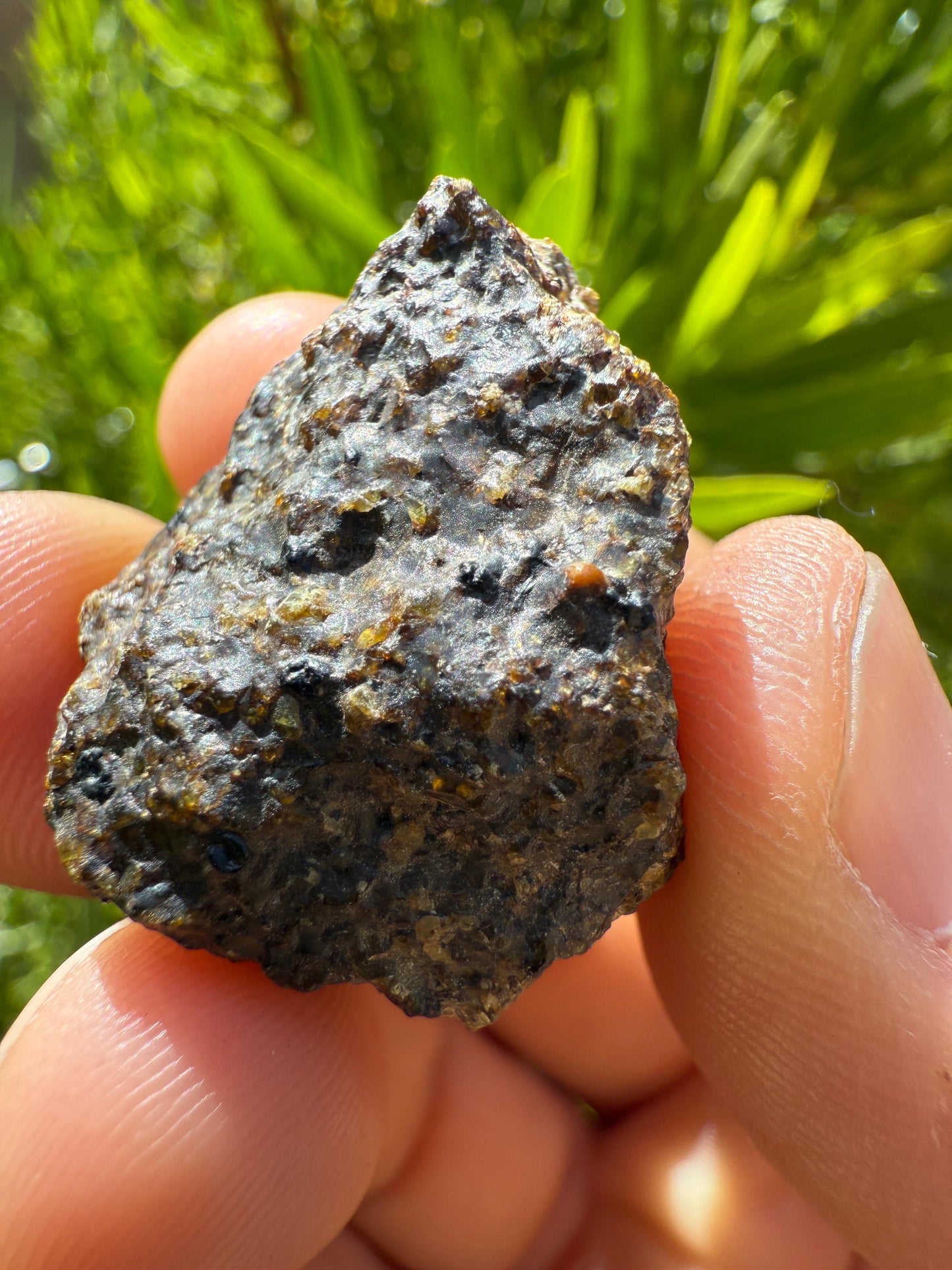NWA 17418 Diogenite Meteorite: HED Achondrite Specimen, 19.45 grams