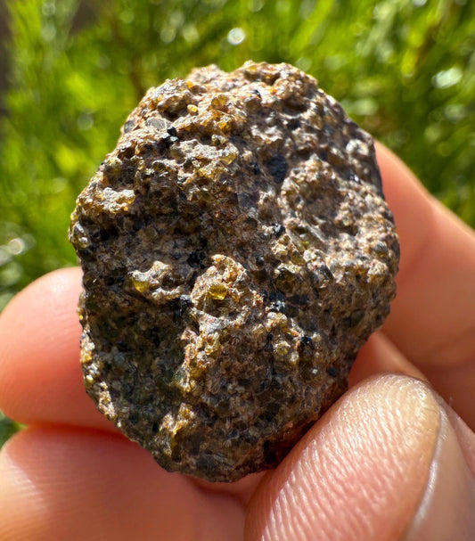 NWA 17418 Diogenite Meteorite: HED Achondrite Specimen, 19.45 grams