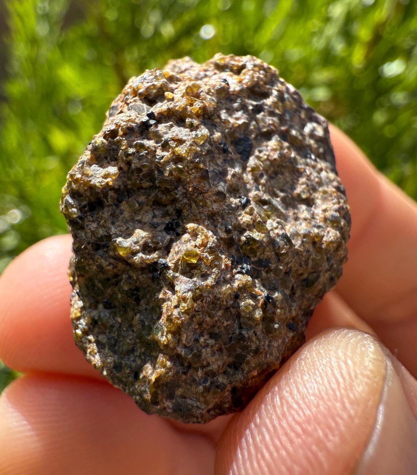 NWA 17418 Diogenite Meteorite: HED Achondrite Specimen, 19.45 grams