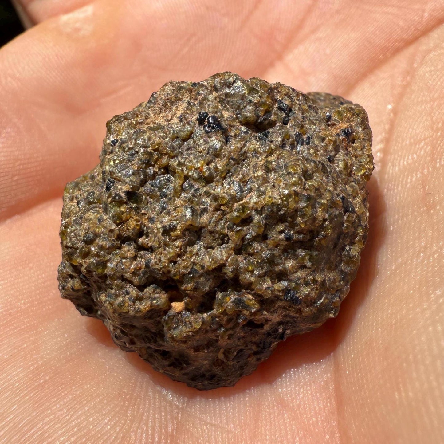 NWA 17418 Diogenite Meteorite: HED Achondrite Specimen, 19.45 grams