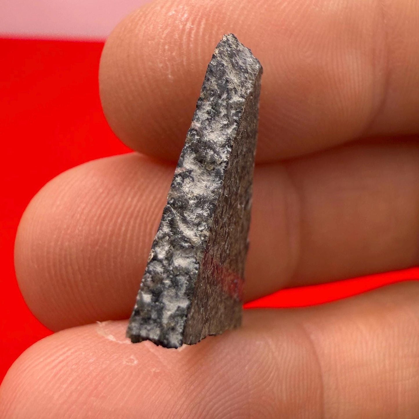NWA 17472, Basaltic Martian Shergottite, Martian Meteorite, Mars Rock, 1.75g
