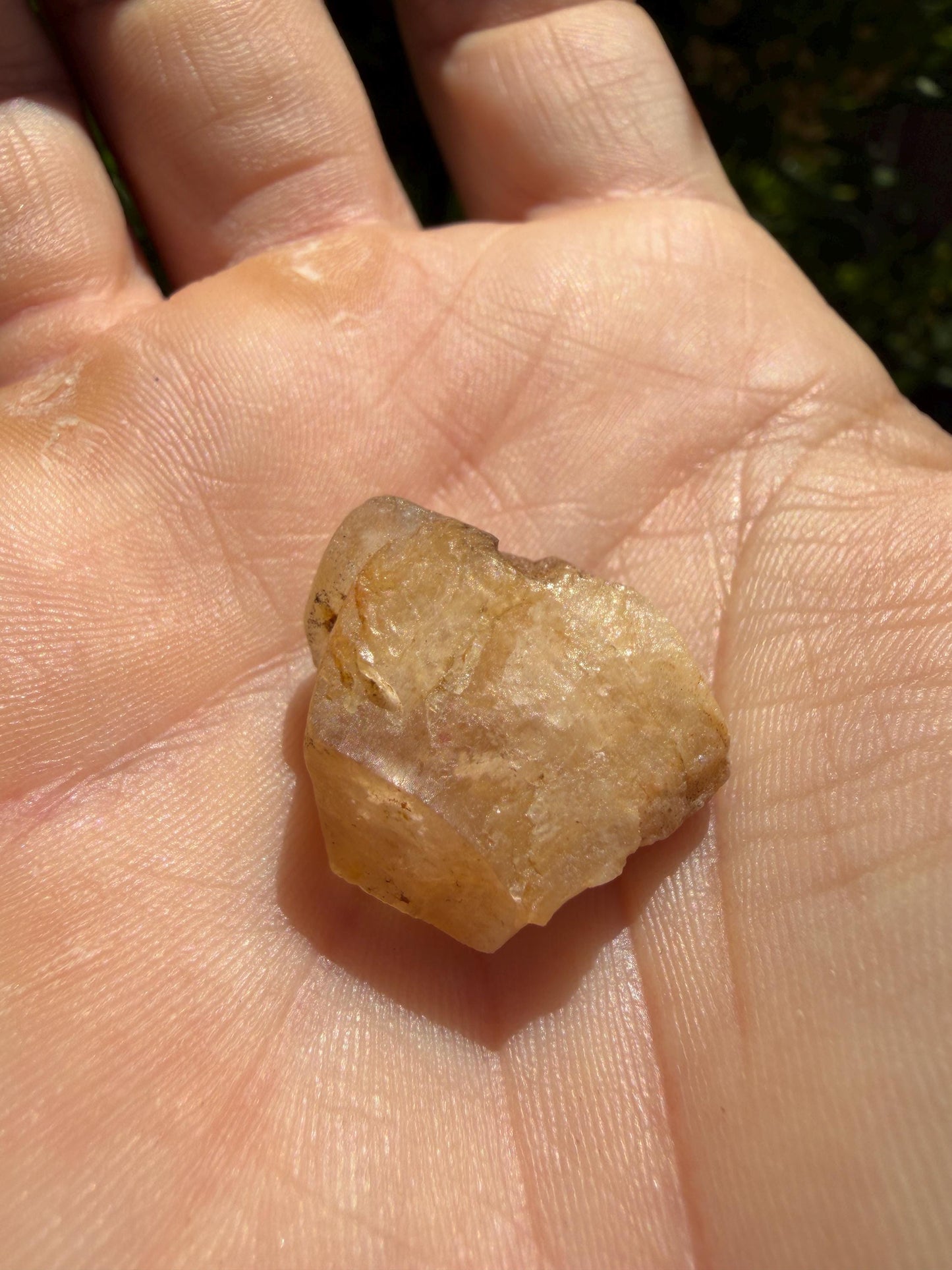Golden Brazilian Phenacite Crystal: High-Vibration Gemstone, Reiki Energy Work, 6.69g/33.45ct