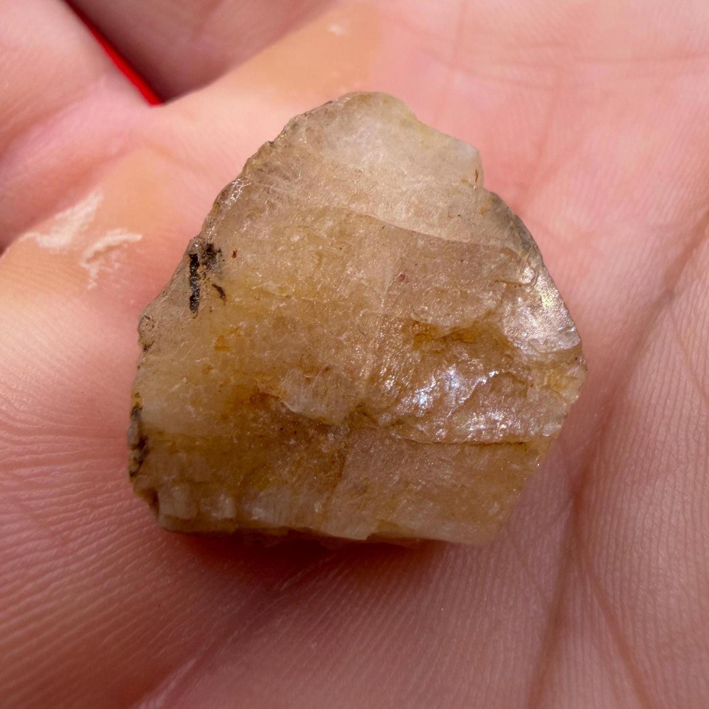 Golden Brazilian Phenacite Crystal: High-Vibration Gemstone, Reiki Energy Work, 6.69g/33.45ct