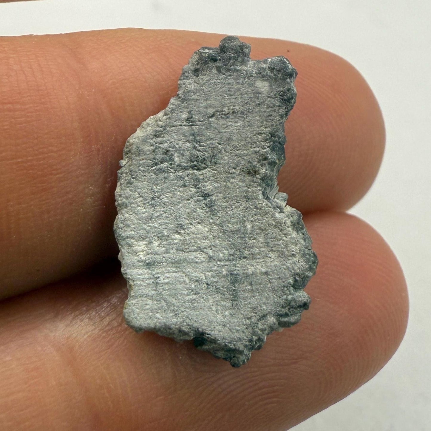 Authentic Gadamis 003 Lunar Meteorite Slice - Moon Meteorite Collection