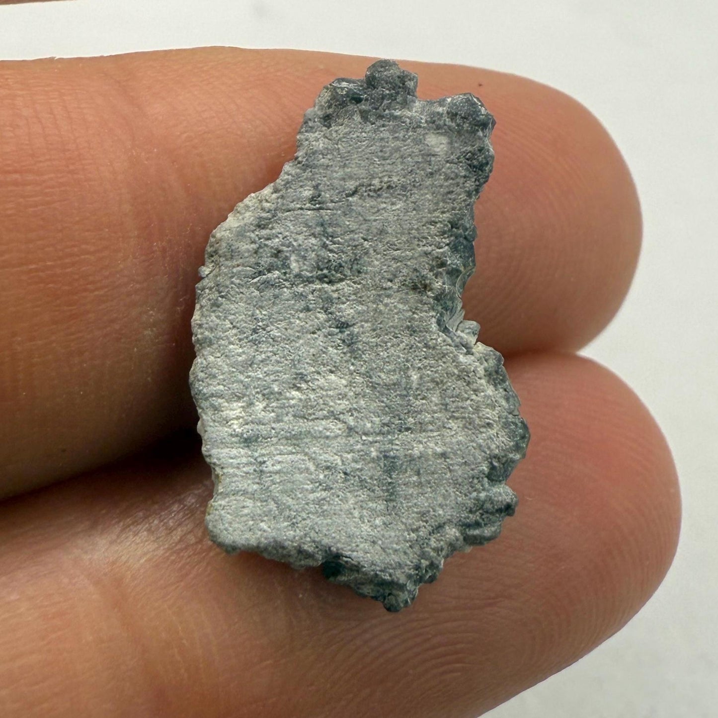 Authentic Gadamis 003 Lunar Meteorite Slice - Moon Meteorite Collection