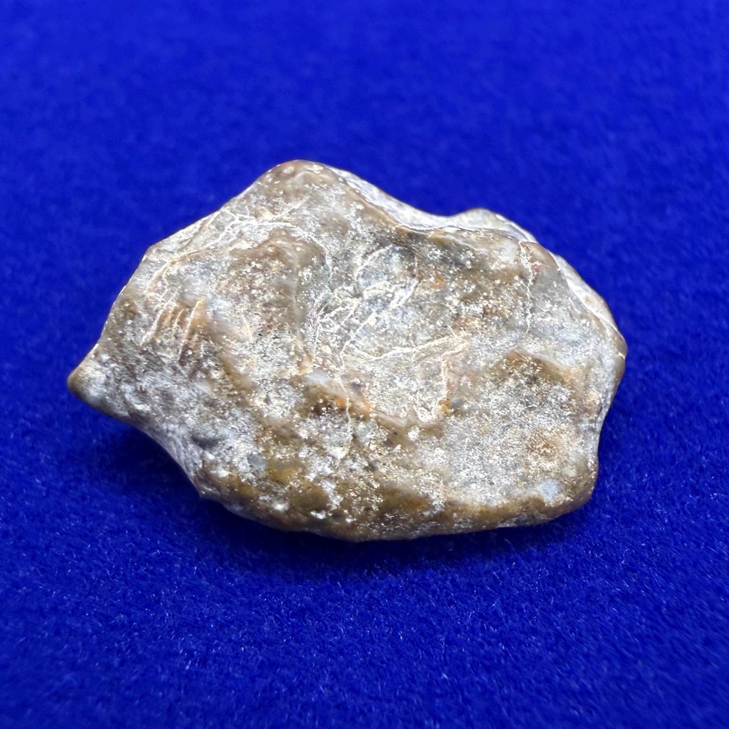 NWA 13974 Lunar Meteorite - Feldspathic Breccia, 1.69 grams
