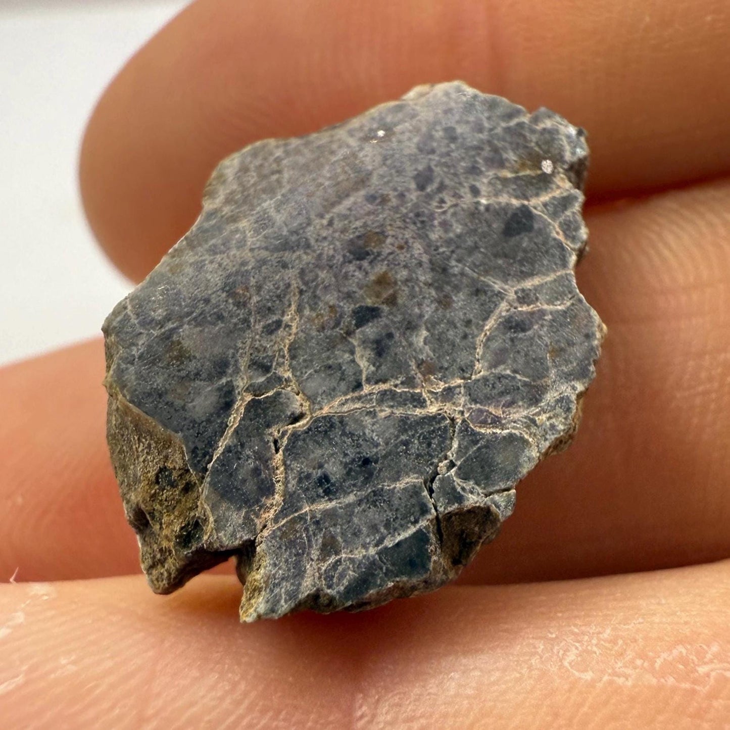 Polished NWA 15373 Lunar Meteorite Slice: 3.47 gram Feldspathic Breccia