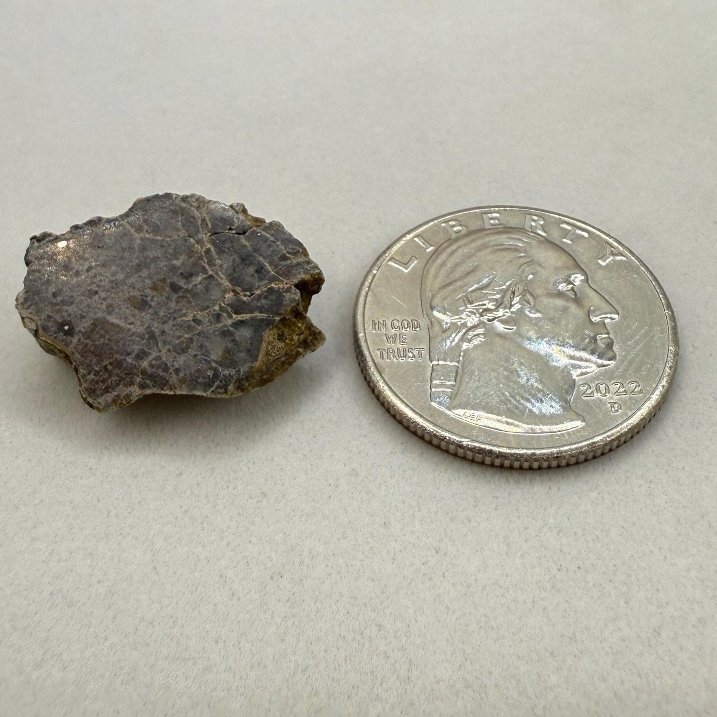 Polished NWA 15373 Lunar Meteorite Slice: 3.47 gram Feldspathic Breccia