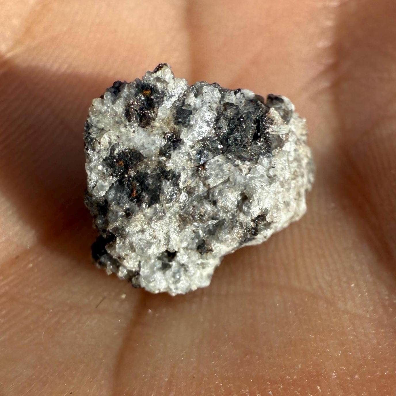 Rare NWA 7611 Meteorite - Lunar Classified, Possibly Mercurian Origin, 1.35g Cosmic Collector’s Gem