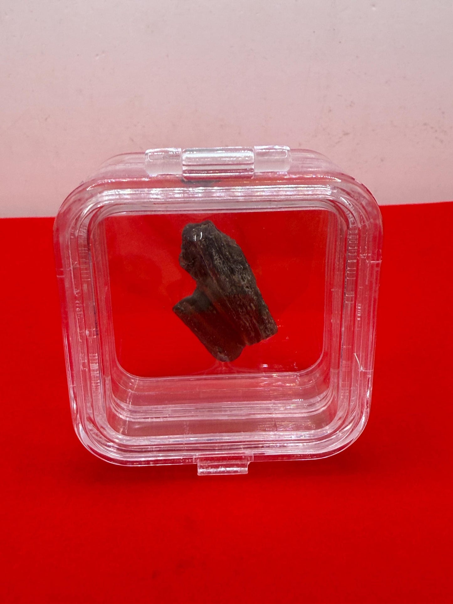Darwin Glass Tektite: Tasmanian Impactite Talisman, 2.50 grams