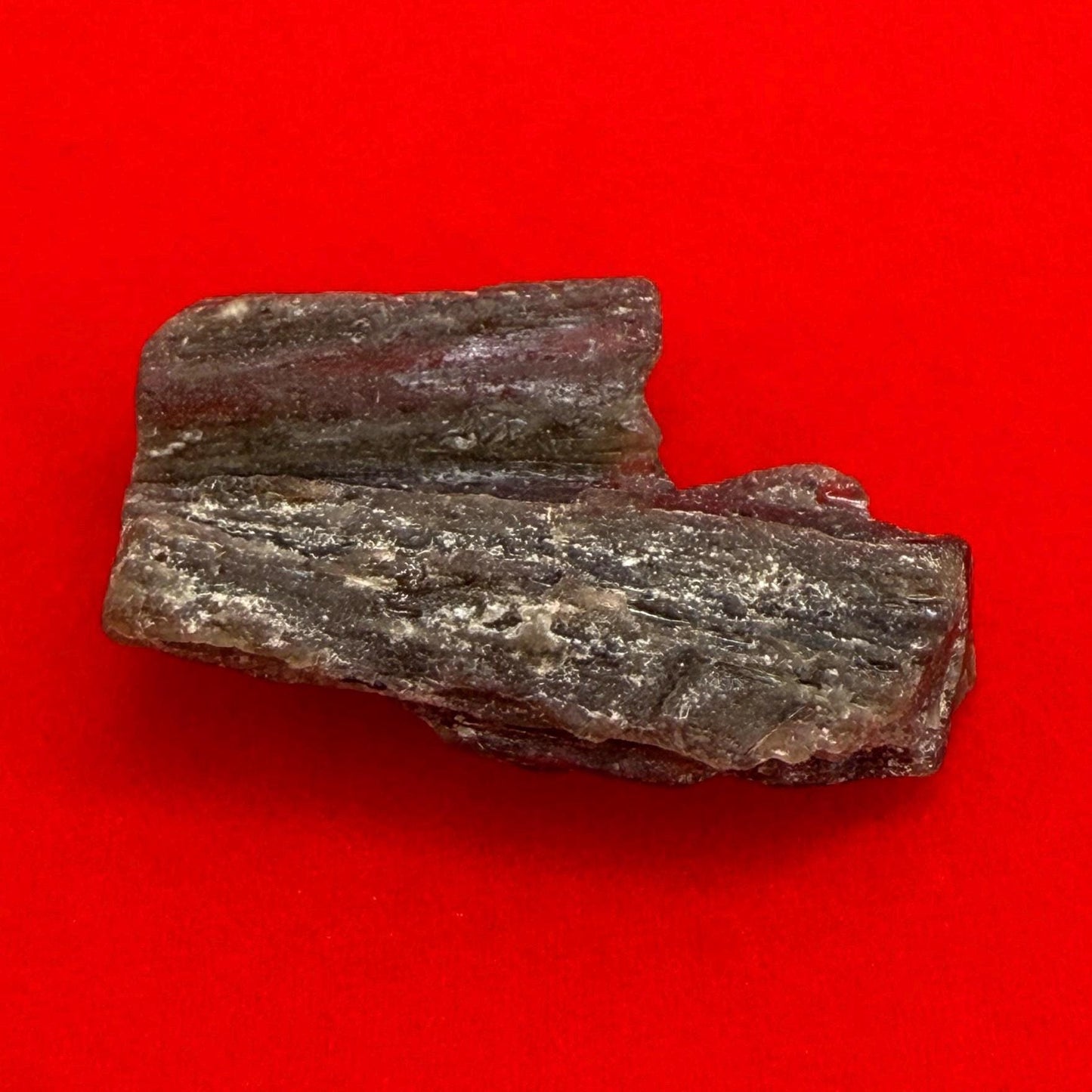 Darwin Glass Tektite: Tasmanian Impactite Talisman, 2.50 grams