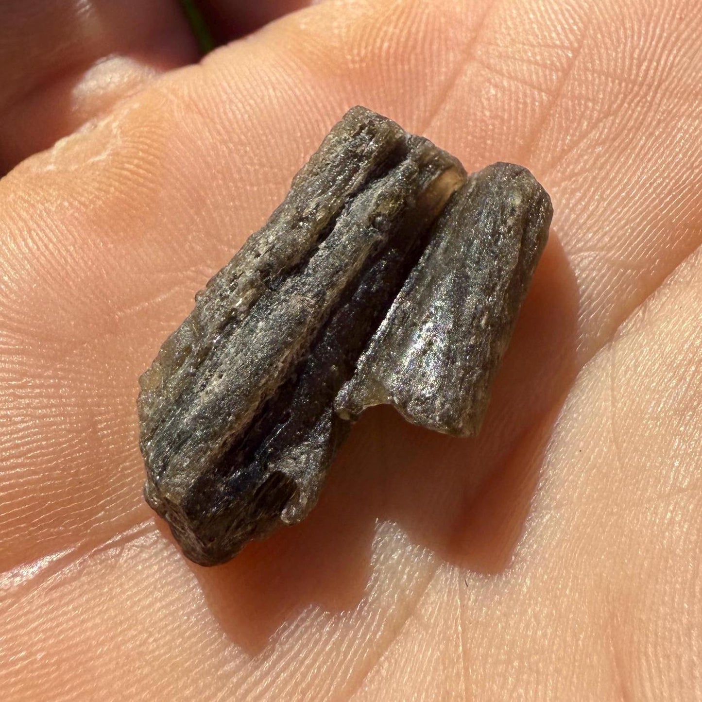 Darwin Glass Tektite: Tasmanian Impactite Talisman, 2.50 grams