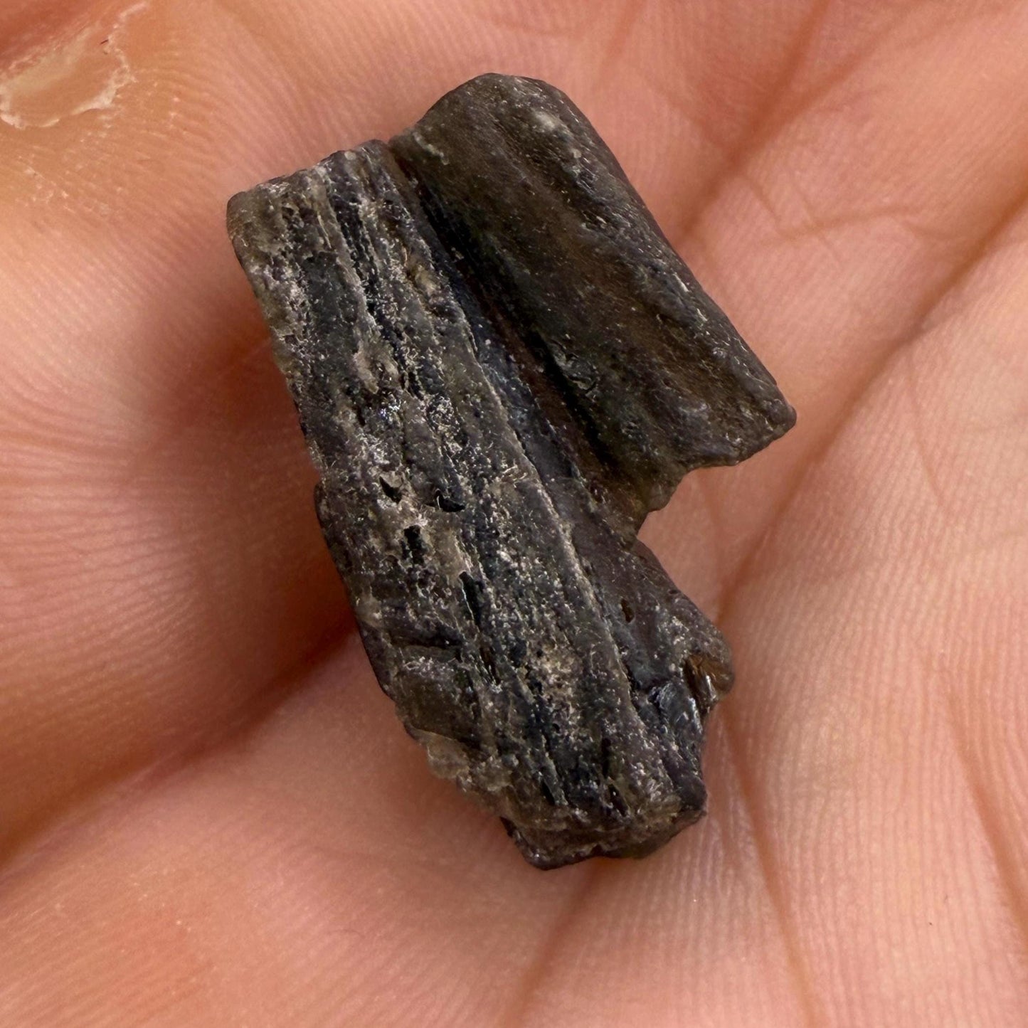 Darwin Glass Tektite: Tasmanian Impactite Talisman, 2.50 grams