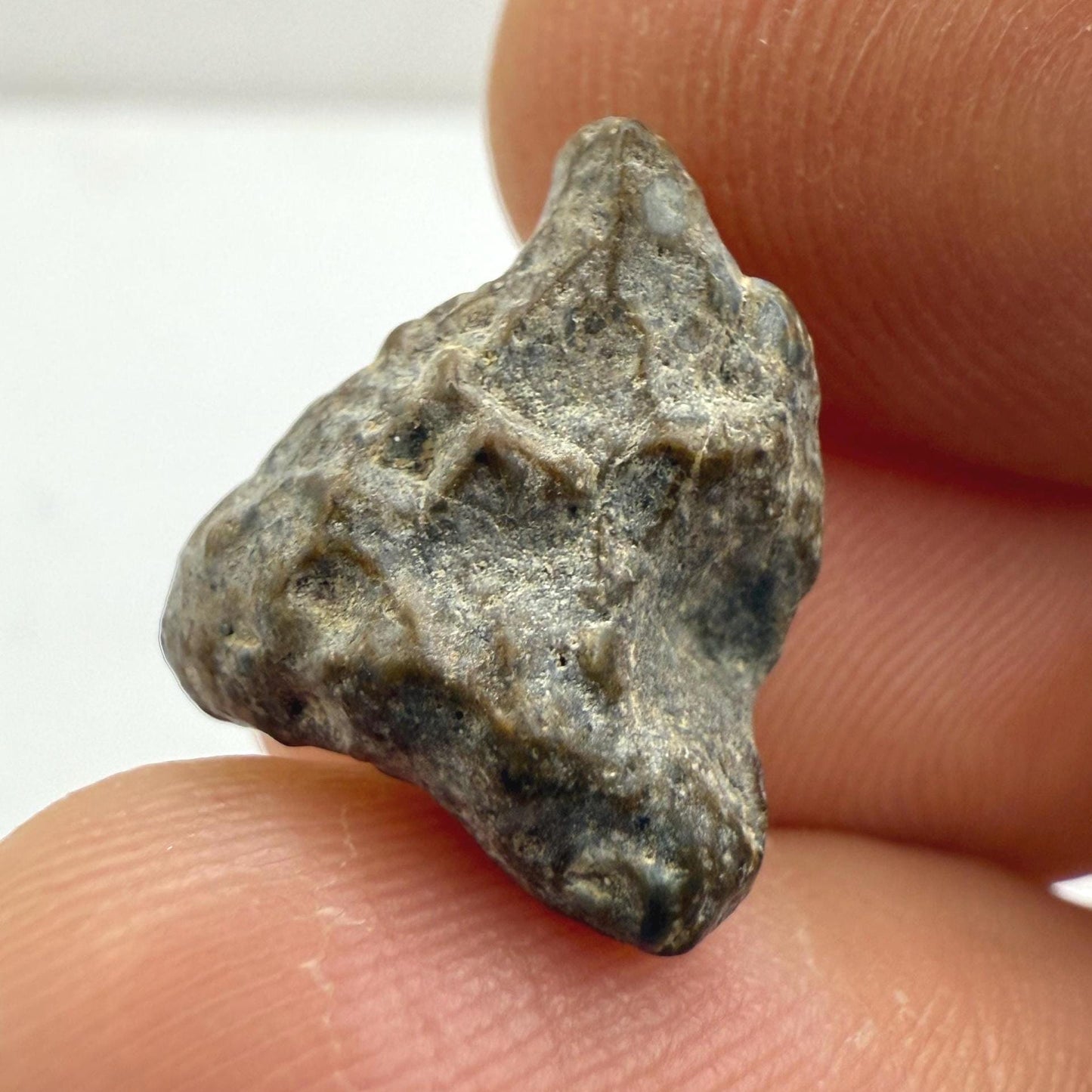 NWA 13974 Moon|Lunar Meteorite, Feldspathic Breccia, Moon Meteorite, Meteorite Collection, Lunar Feldspathic Breccia, 1.47 grams