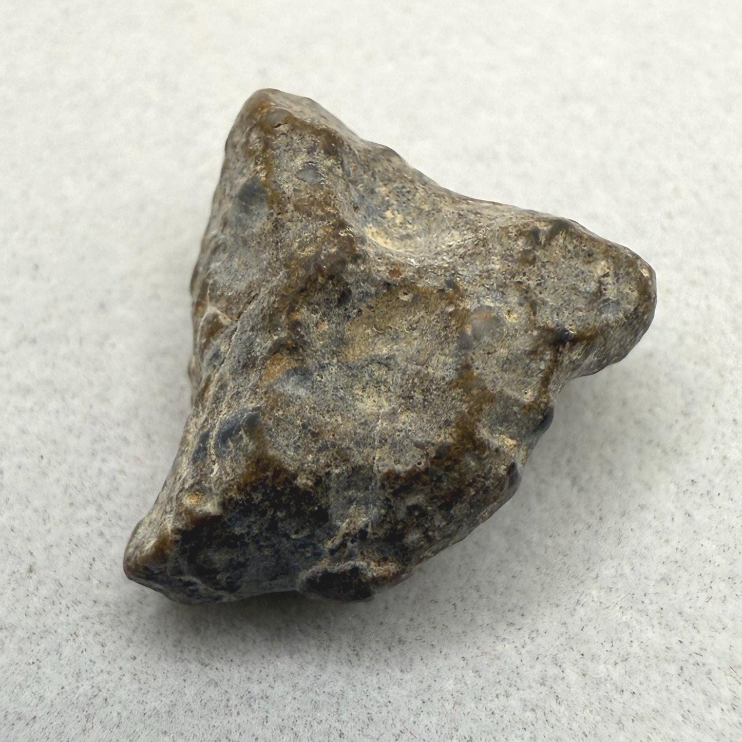 NWA 13974 Moon|Lunar Meteorite, Feldspathic Breccia, Moon Meteorite, Meteorite Collection, Lunar Feldspathic Breccia, 1.47 grams