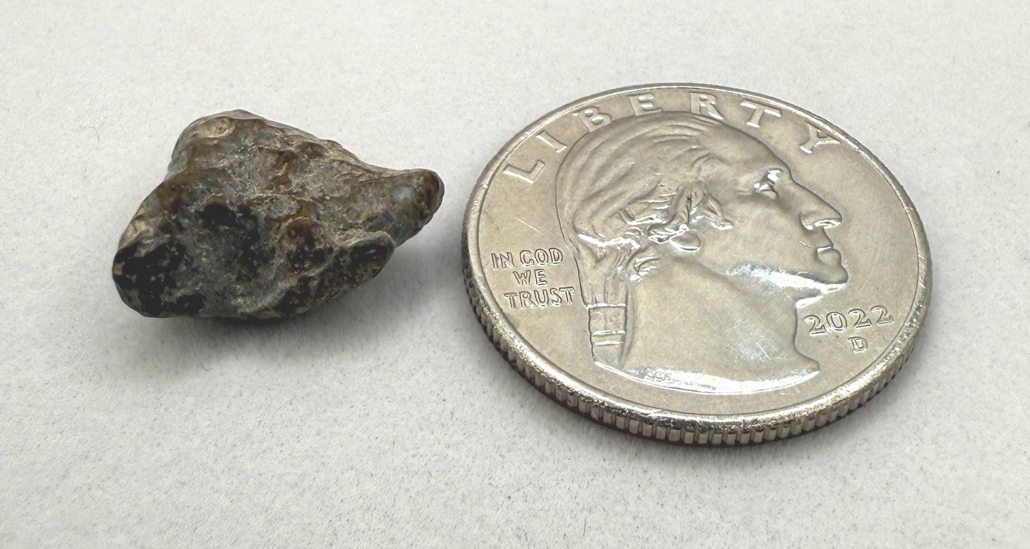 NWA 13974 Moon|Lunar Meteorite, Feldspathic Breccia, Moon Meteorite, Meteorite Collection, Lunar Feldspathic Breccia, 1.47 grams