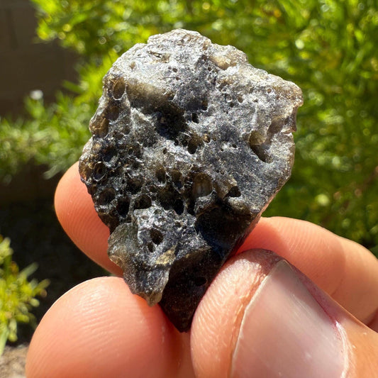 Darwin Glass Tektite: Tasmanian Impactite Talisman, 8.52g