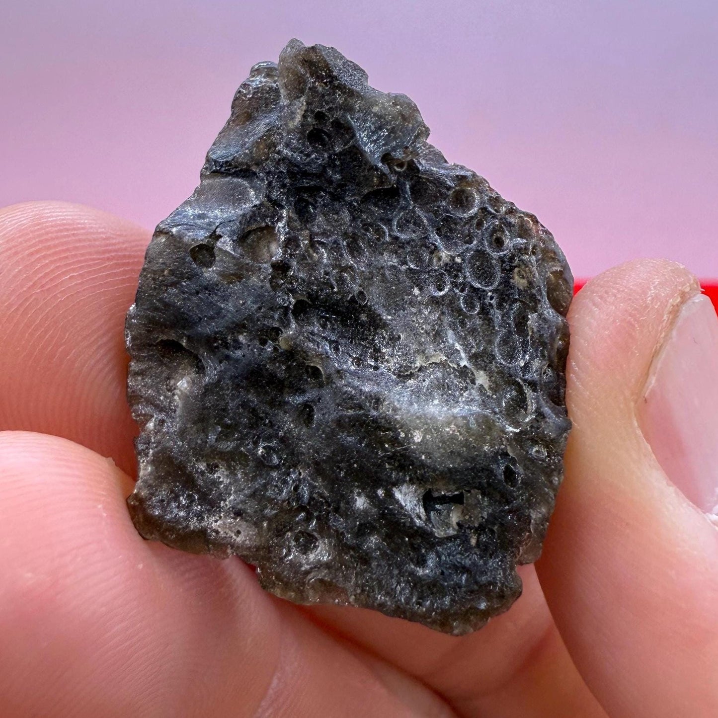 Darwin Glass Tektite: Tasmanian Impactite Talisman, 8.52g