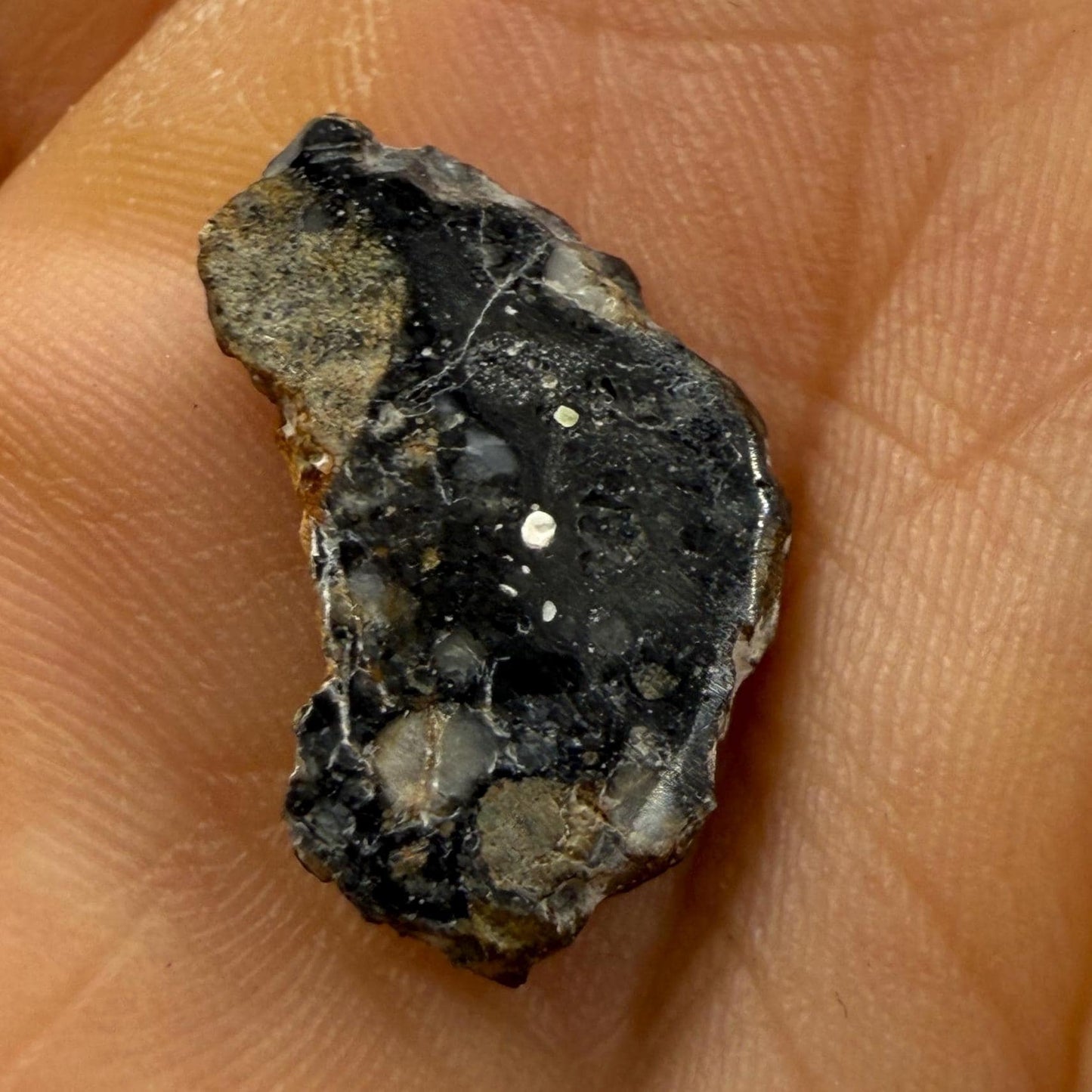 Ajdabiya 001 Lunar Meteorite Slice Pendant: Moon Rock Specimen, Space Gift, 0.77 grams