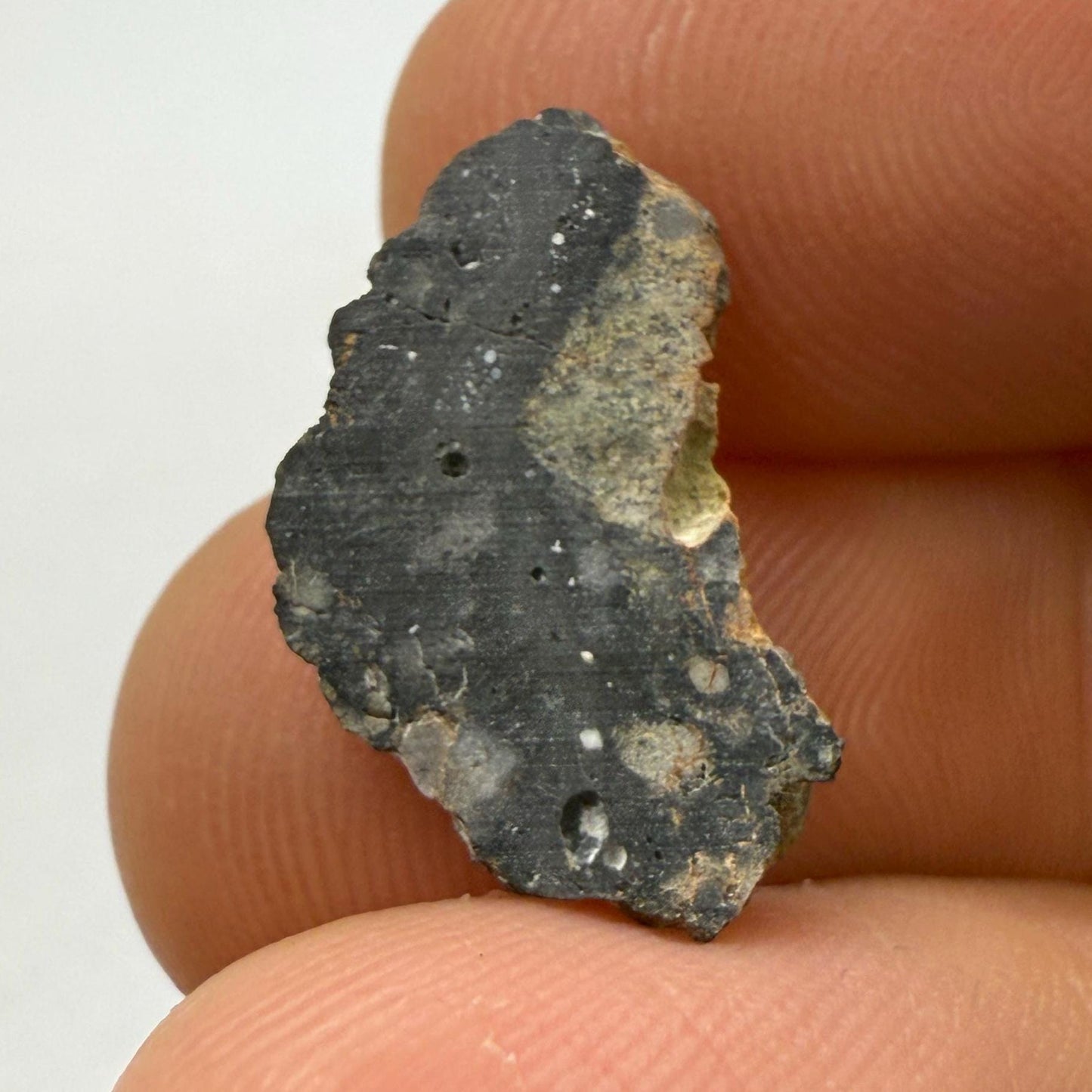 Ajdabiya 001 Lunar Meteorite Slice Pendant: Moon Rock Specimen, Space Gift, 0.77 grams