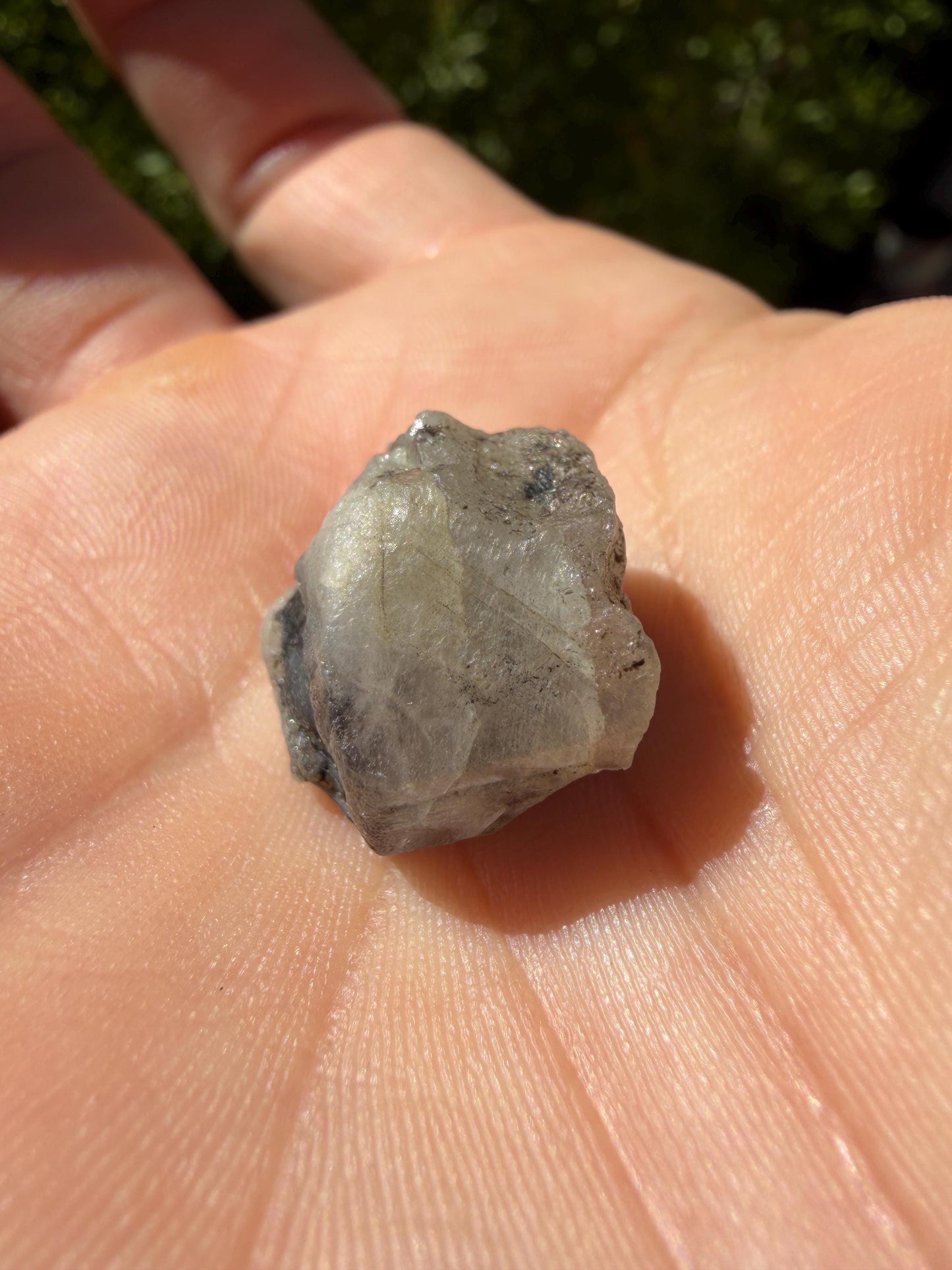 Brazilian Phenacite Crystal: High Vibration Crystal, Reiki Energy, 5.67g/28.35ct