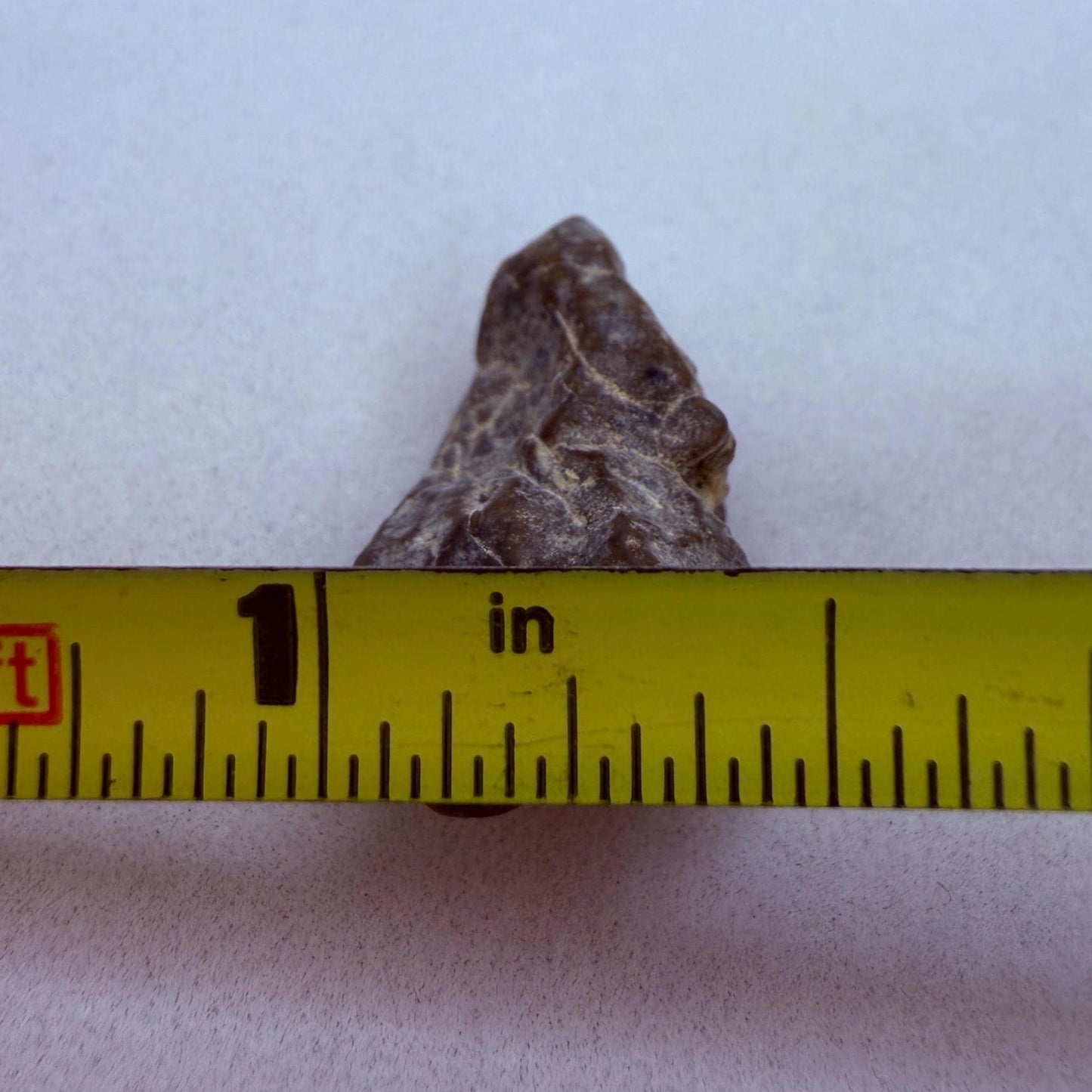 NWA 13974 Lunar Meteorite - Feldspathic Breccia, 2.50 grams