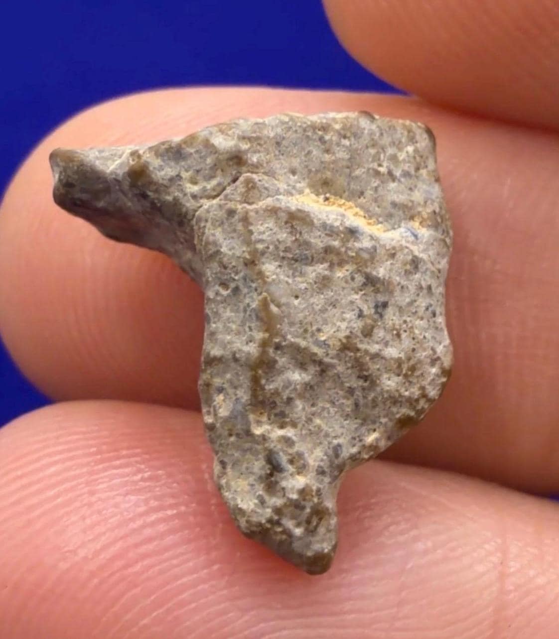 NWA 13974 Lunar Meteorite - Feldspathic Breccia, 1.25 grams