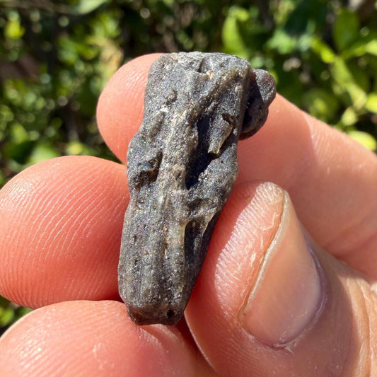 Darwin Glass Tektite: Tasmanian Impactite Talisman, 2.68 grams