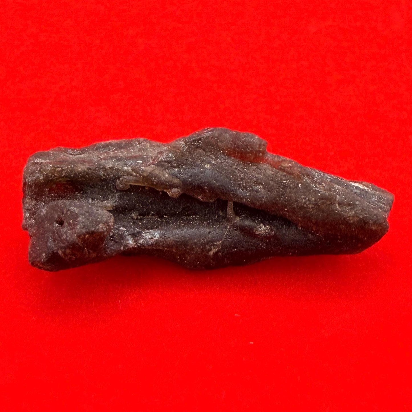 Darwin Glass Tektite: Tasmanian Impactite Talisman, 2.68 grams