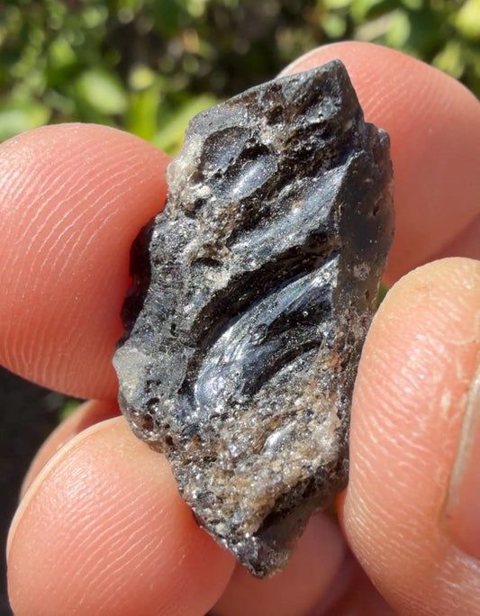 Darwin Glass Tektite: Tasmanian Impactite Talisman, 2.97 grams