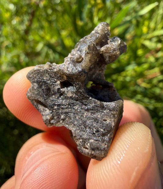 Darwin Glass Tektite: Tasmanian Impactite Talisman, 5.55 grams