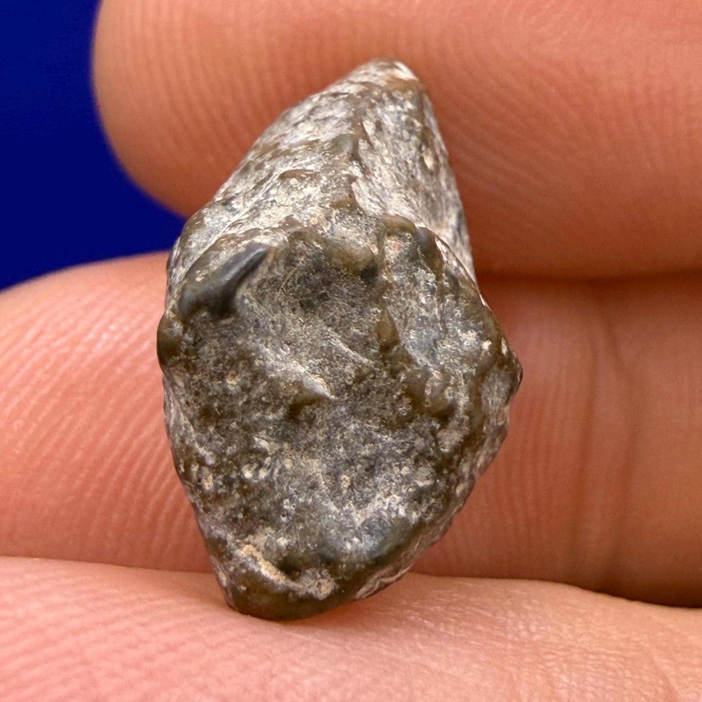 NWA 13974 Lunar Meteorite - Feldspathic Breccia, 1.70 grams