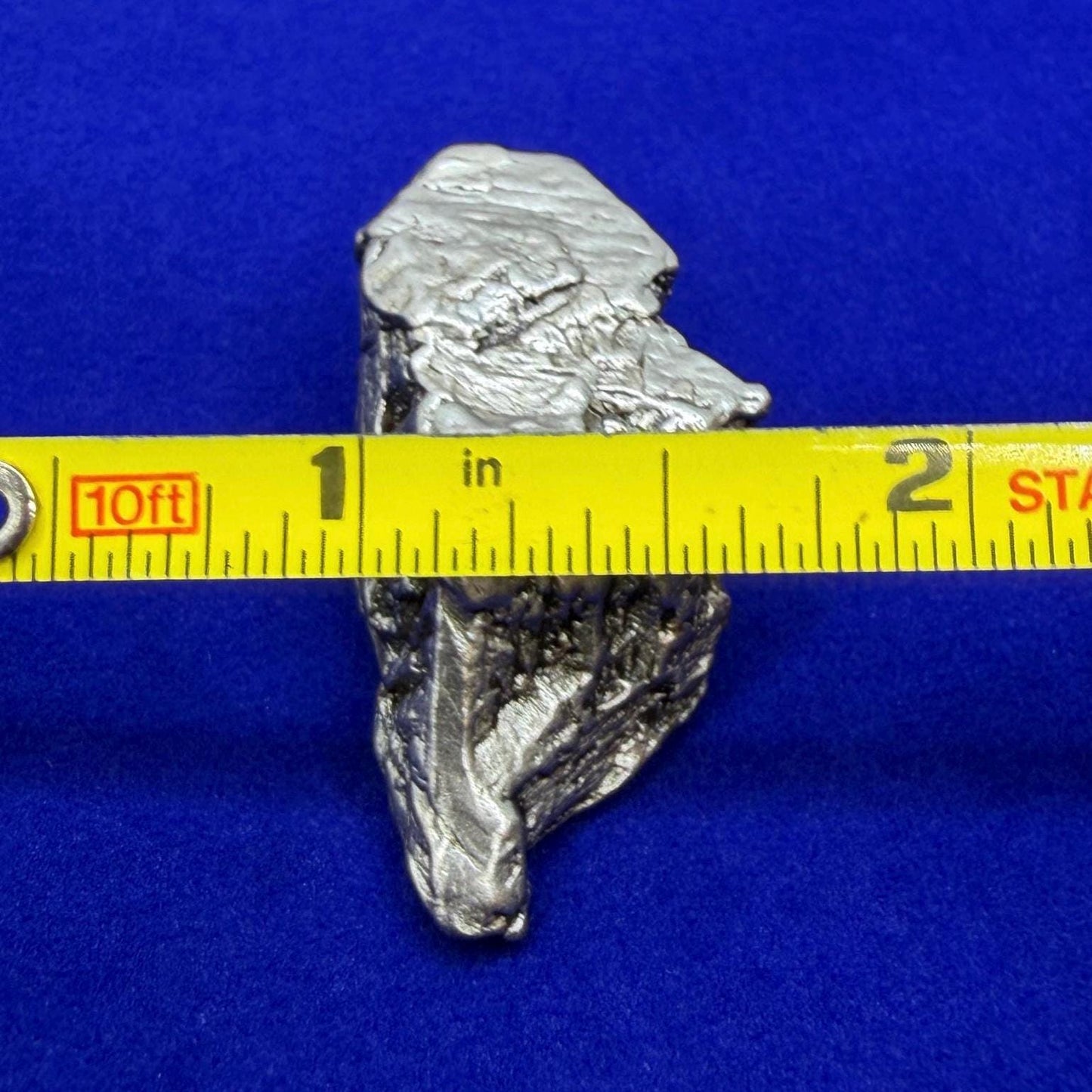 Aletai Iron-Nickel Meteorite Specimen: Astronomy Gift, COA, 37.10 grams