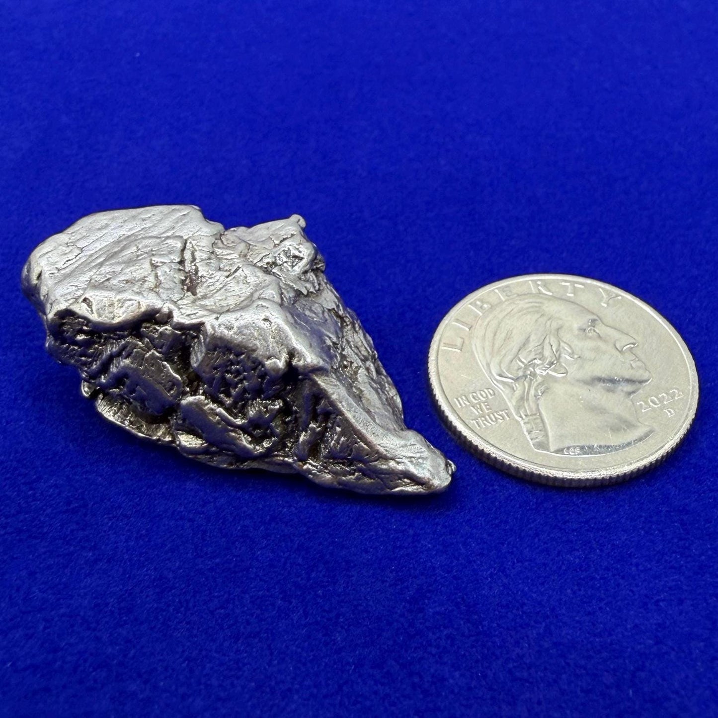 Aletai Iron-Nickel Meteorite Specimen: Astronomy Gift, COA, 37.10 grams