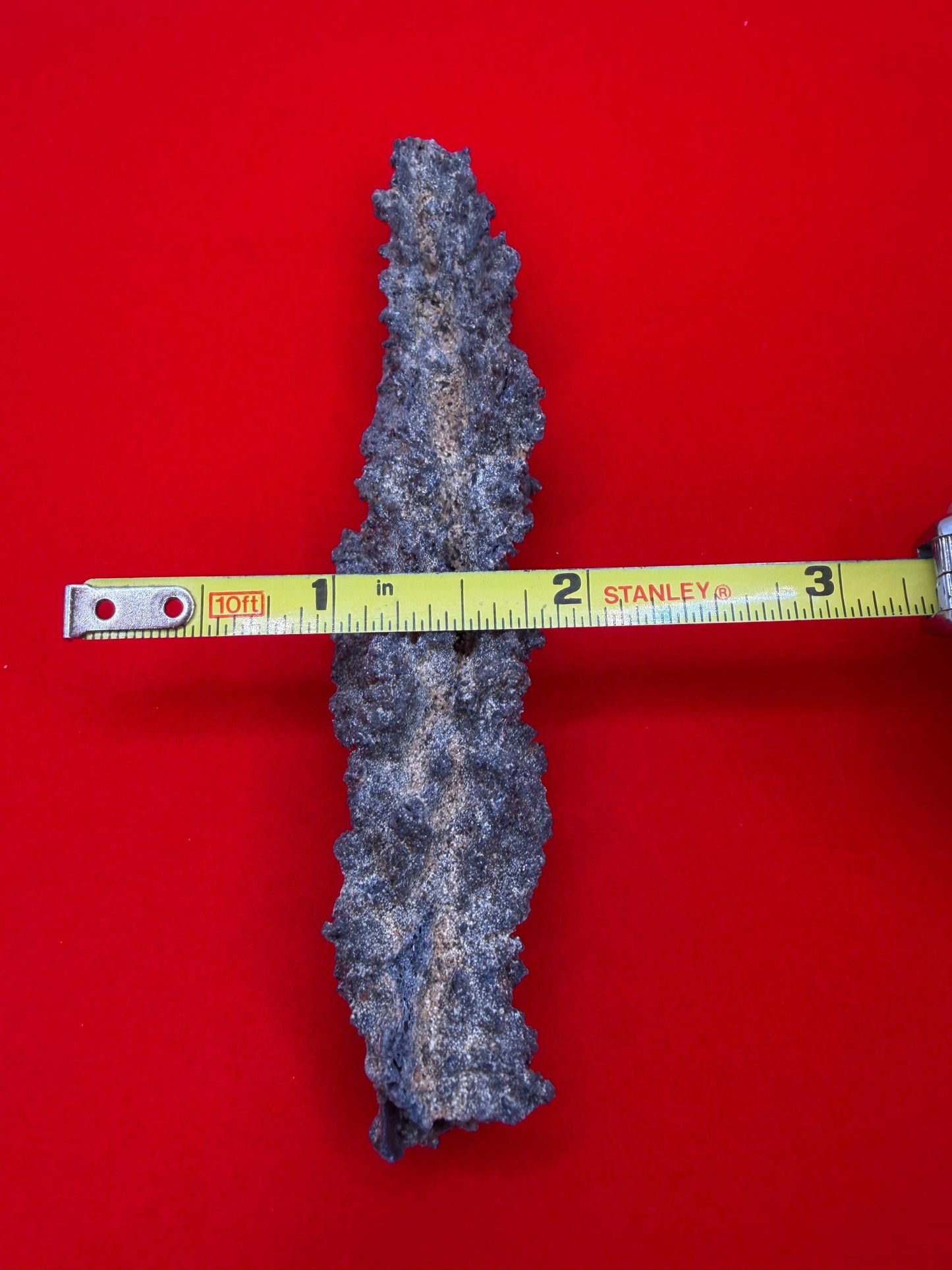 Sahara Desert Fulgurite: Fossilized Lightning Rock, Energy Work, 15.73 grams