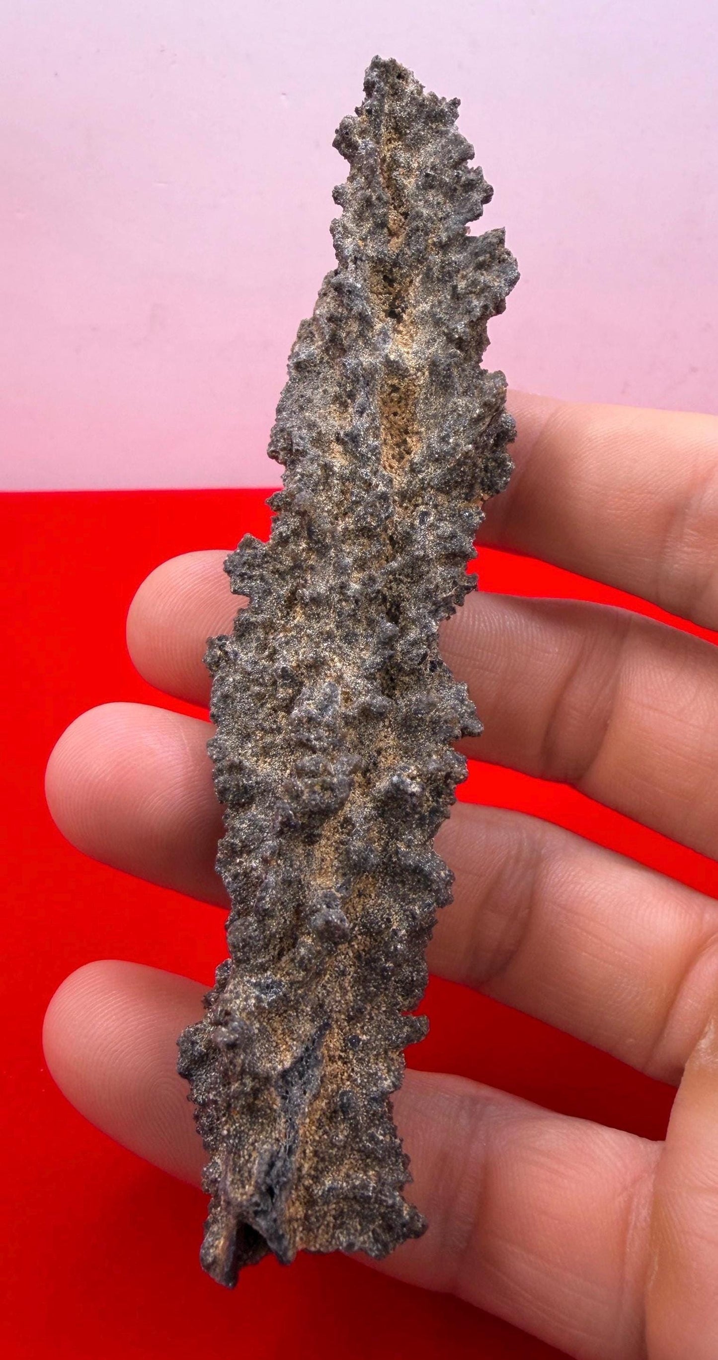 Sahara Desert Fulgurite: Fossilized Lightning Rock, Energy Work, 15.73 grams