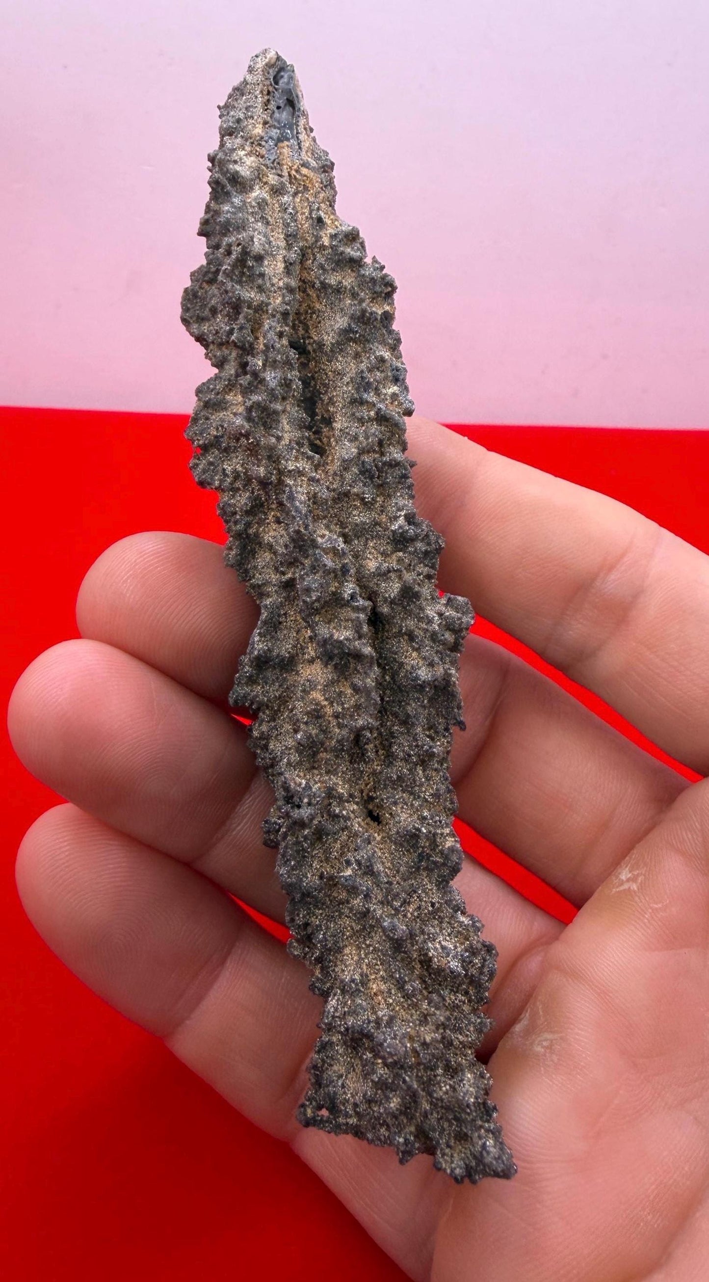 Sahara Desert Fulgurite: Fossilized Lightning Rock, Energy Work, 15.73 grams