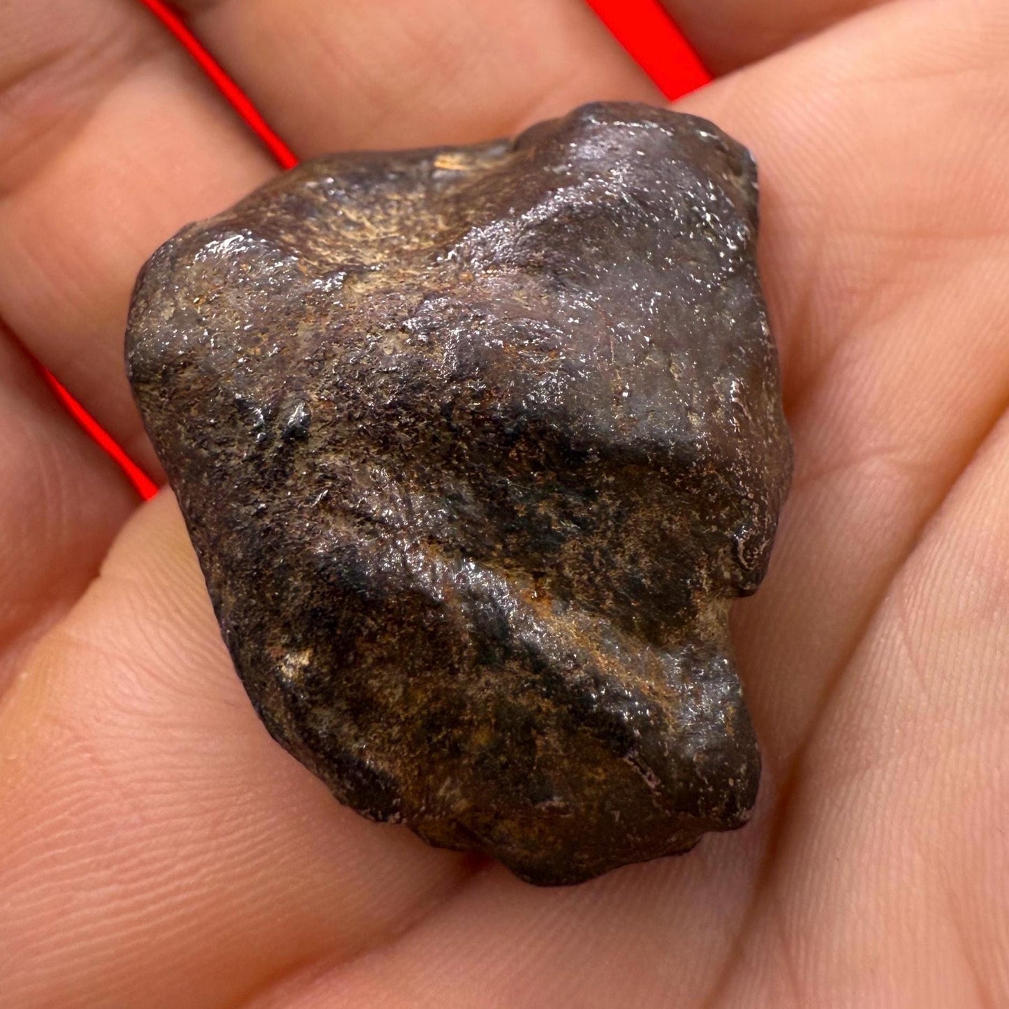 Unique Iron Meteorite Specimen Gebel Kamil, 61.41 grams, Astronomy Gift, Space Gift, Iron Meteorite, Egypt, Meteorite Collection, Space