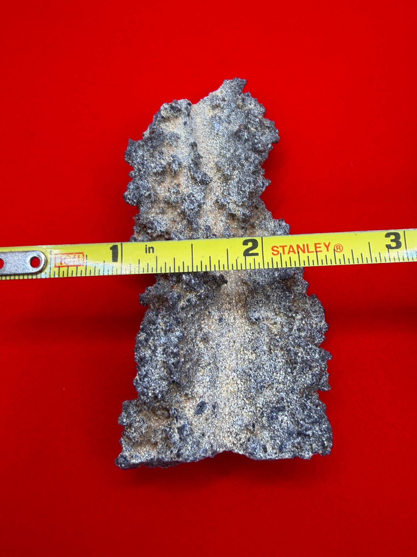 Sahara Desert Fulgurite: Fossilized Lightning Rock, Energy Work, 22.22 grams
