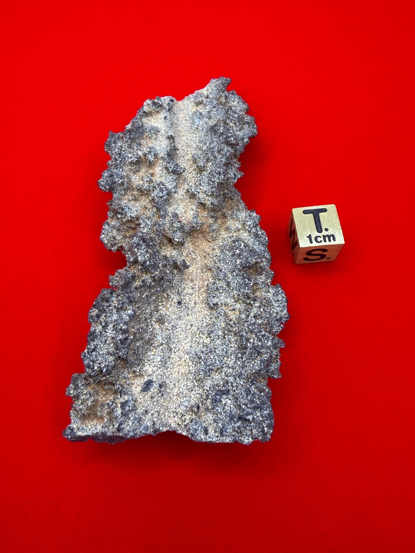 Sahara Desert Fulgurite: Fossilized Lightning Rock, Energy Work, 22.22 grams