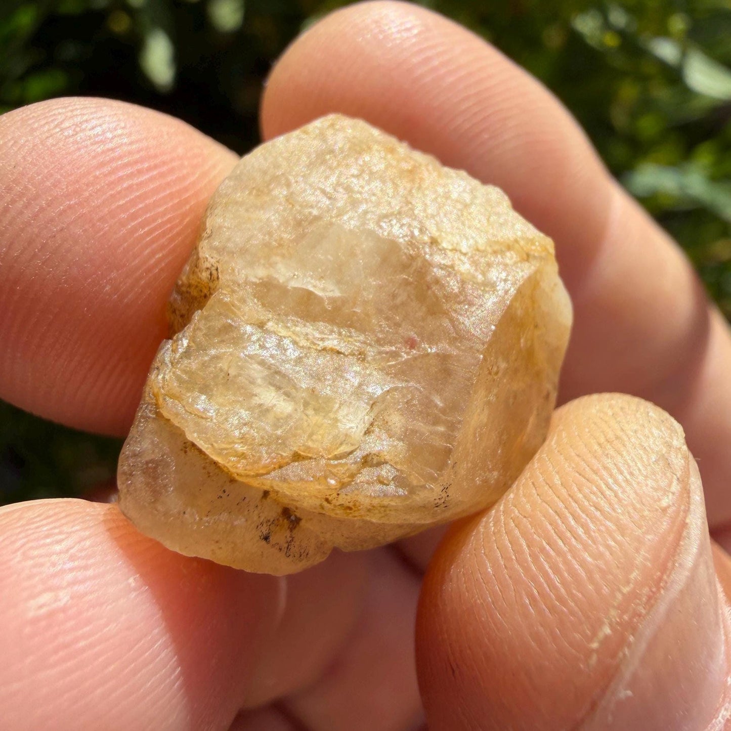 Golden Brazilian Phenacite Crystal: High-Vibration Gemstone, Reiki Energy Work, 6.69g/33.45ct