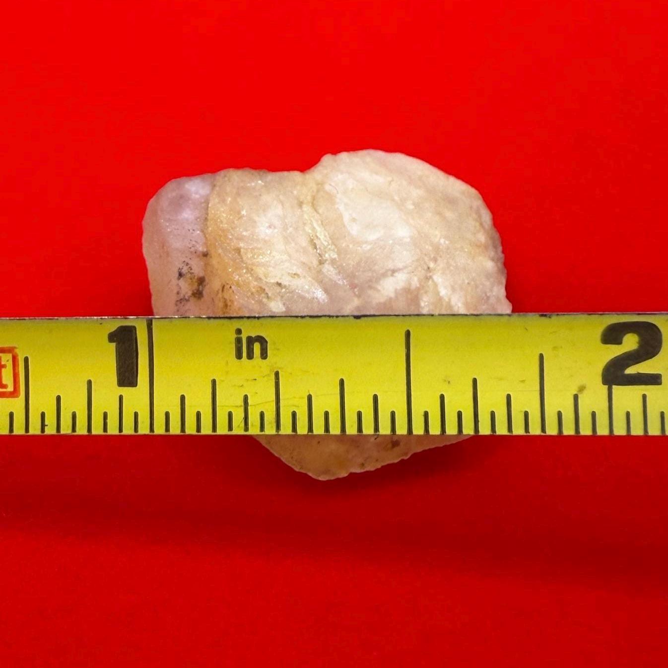 Golden Brazilian Phenacite Crystal: High-Vibration Gemstone, Reiki Energy Work, 6.69g/33.45ct