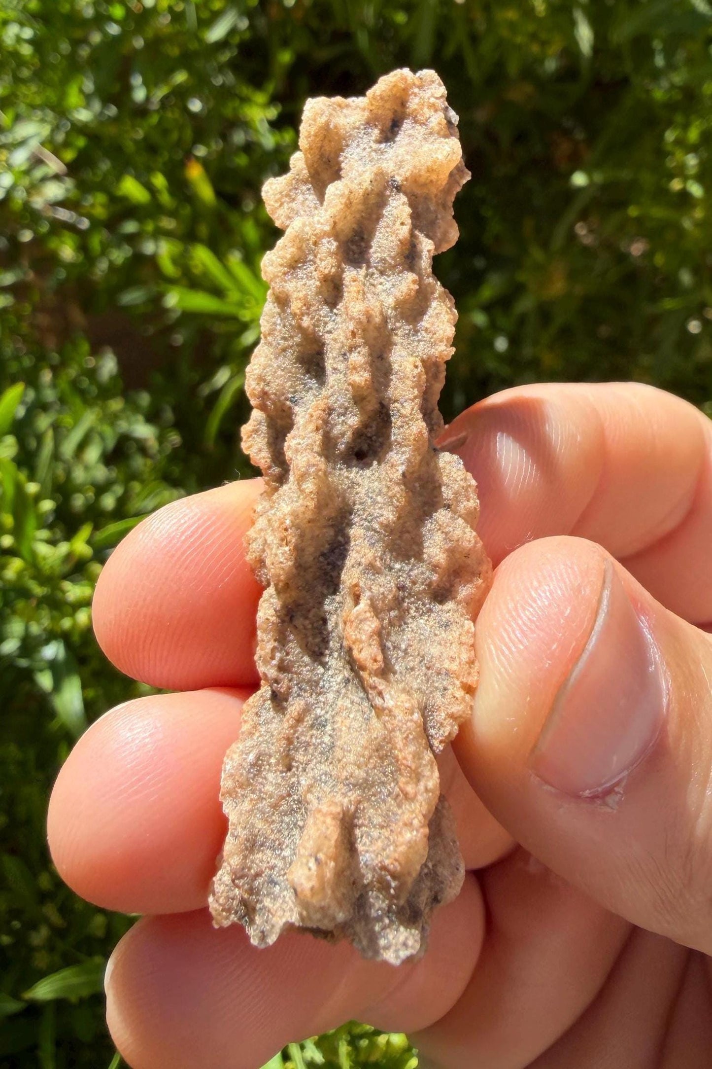 Sahara Desert Fulgurite: Fossilized Lightning Rock, Energy Work, 5.03 grams