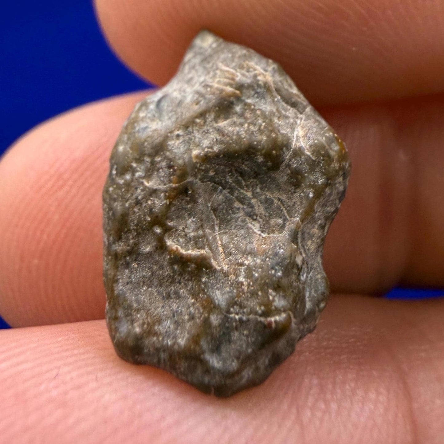 NWA 13974 Lunar Meteorite - Feldspathic Breccia, 1.69 grams
