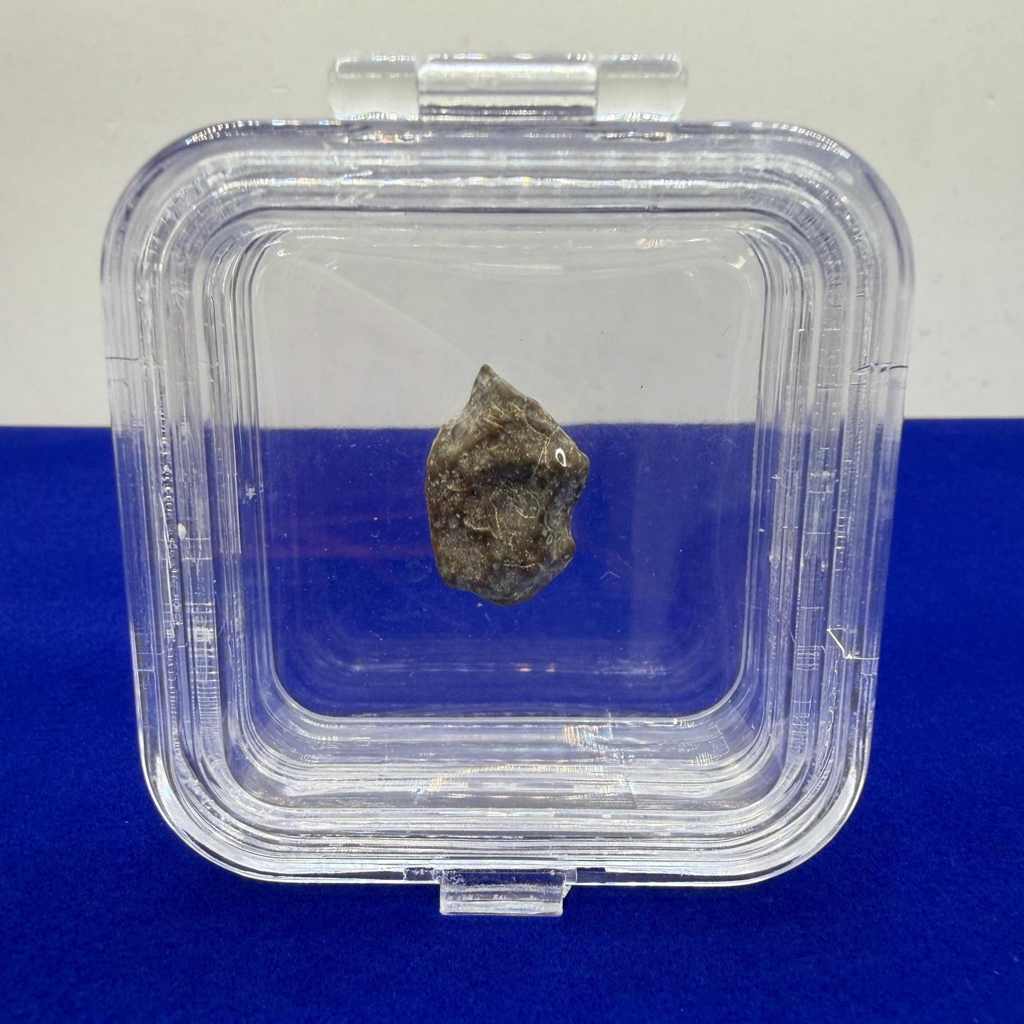 NWA 13974 Lunar Meteorite - Feldspathic Breccia, 1.69 grams