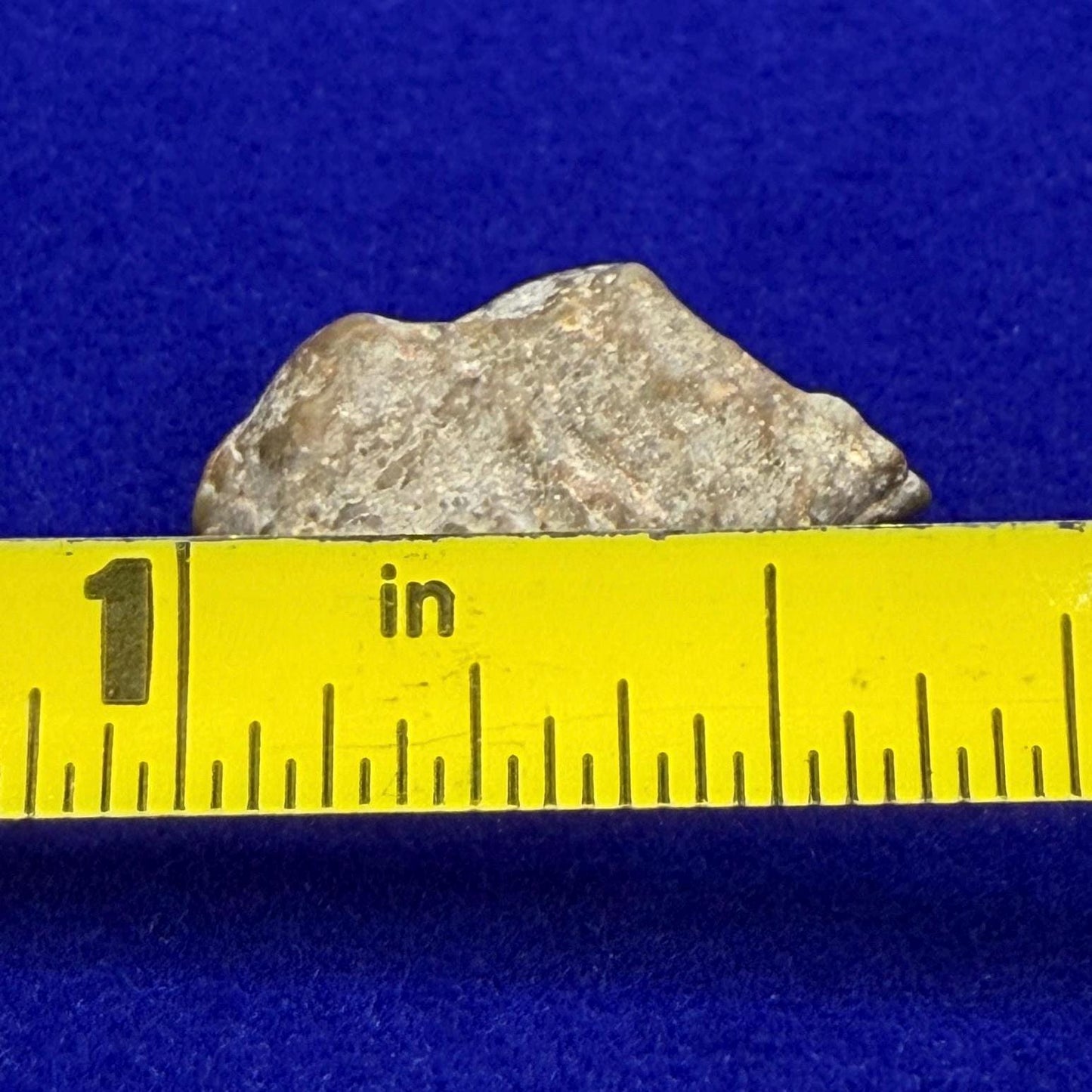 NWA 13974 Lunar Meteorite - Feldspathic Breccia, 1.69 grams