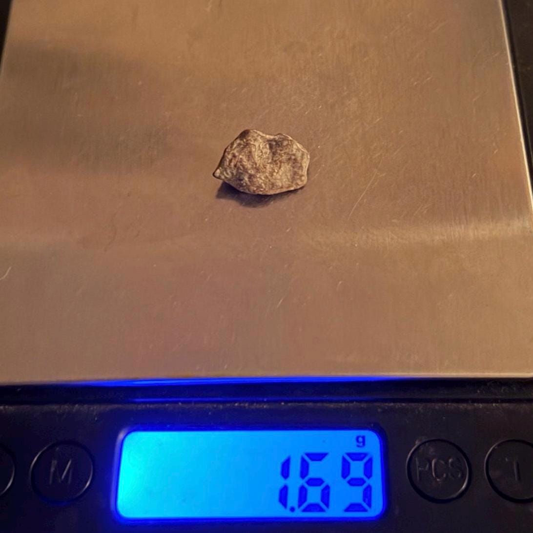 NWA 13974 Lunar Meteorite - Feldspathic Breccia, 1.69 grams